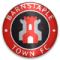 Barnstaple Town