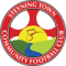 Steyning Town